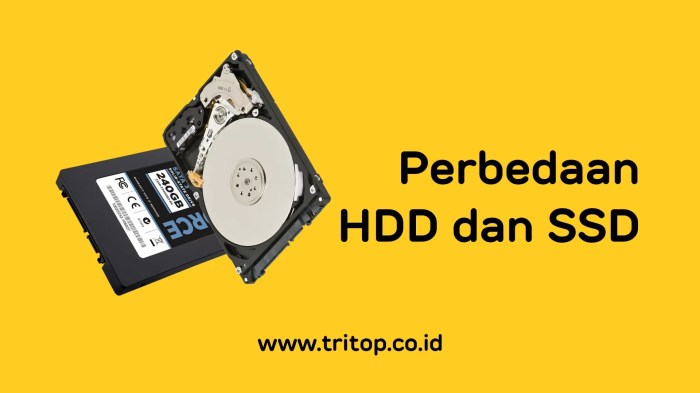 Perbedaan antara SSD dan HDD untuk laptop