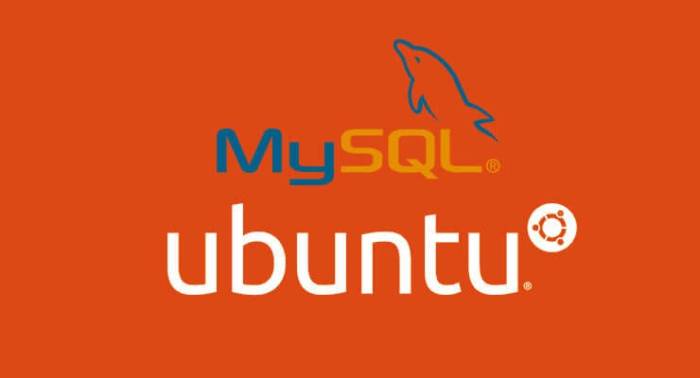 Tutorial backup database mysql di ubuntu server