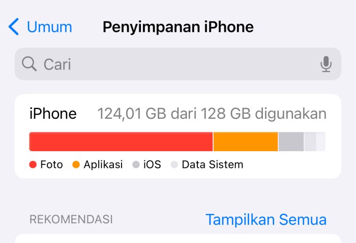 Cara menghemat ruang penyimpanan di iPhone